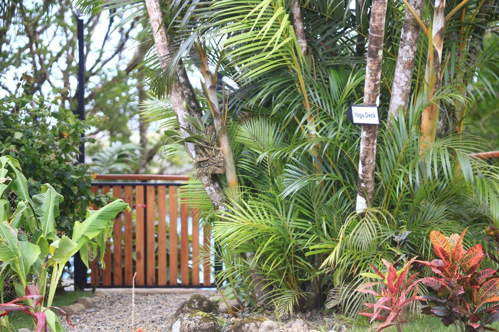 Sueño Río Celeste B&B Bijagua Exterior foto